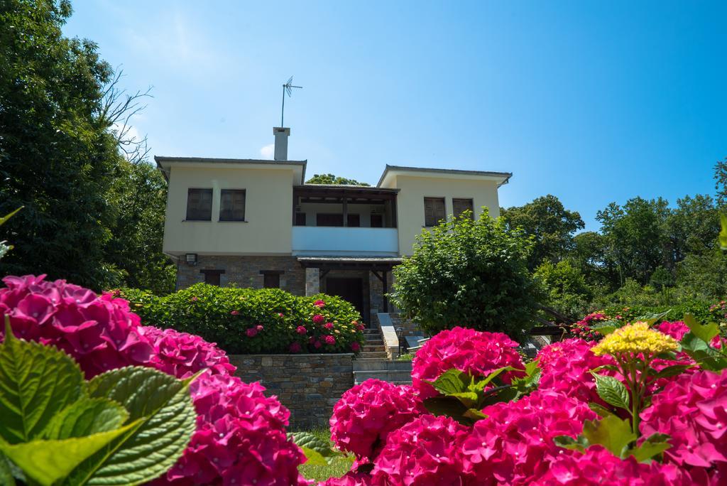 Luxury Villa With Pool In Tsagkarada Eksteriør billede